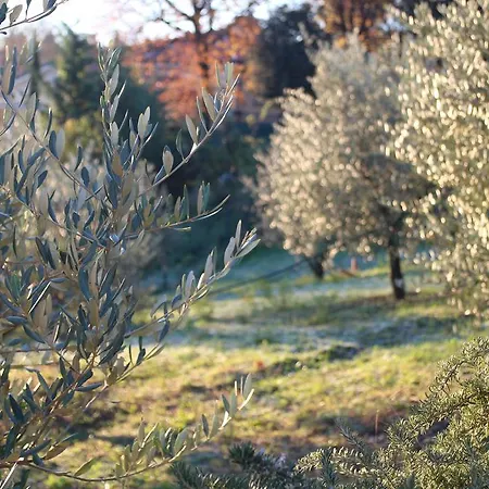 Corte Dell'abbadessa Bed & Breakfast