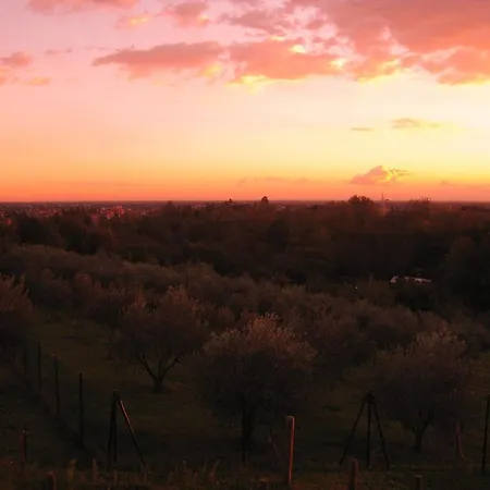 Corte Dell'abbadessa Bed & Breakfast San Lazzaro di Savena